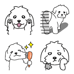 [LINE絵文字] 犬種別毎日可愛いマルチーズの画像