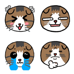 [LINE絵文字] ねこっこの画像