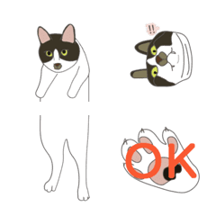 [LINE絵文字] Ariuの画像