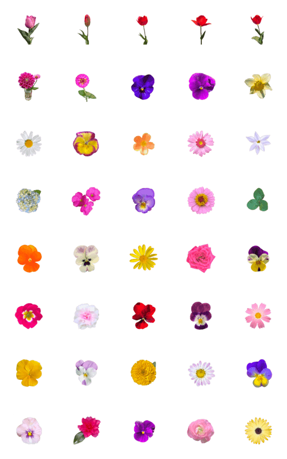 [LINE絵文字]カラフルな花の画像一覧