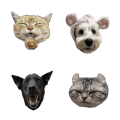 [LINE絵文字] catbogの画像