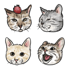 [LINE絵文字] the cats emojiの画像