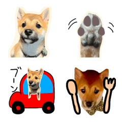 [LINE絵文字] 柴犬レオの絵文字の画像