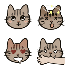 [LINE絵文字] Yy's cat Gueifei is a cute tabby catの画像