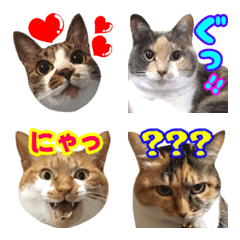 [LINE絵文字] Neneko♥⑩ 猫絵文字の画像