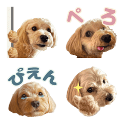 [LINE絵文字] 動く！犬のマルちゃんの画像