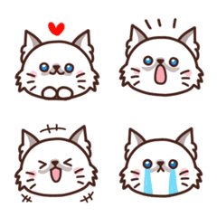 [LINE絵文字] ヒマラヤン猫もりぃの絵文字が新登場！！の画像