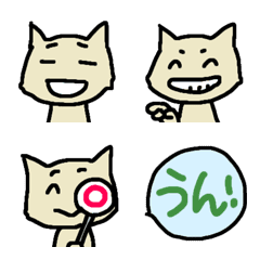 [LINE絵文字] こねこのプチ いろんな表情絵文字の画像