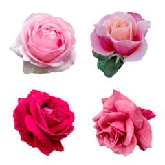 [LINE絵文字] fiower roseの画像