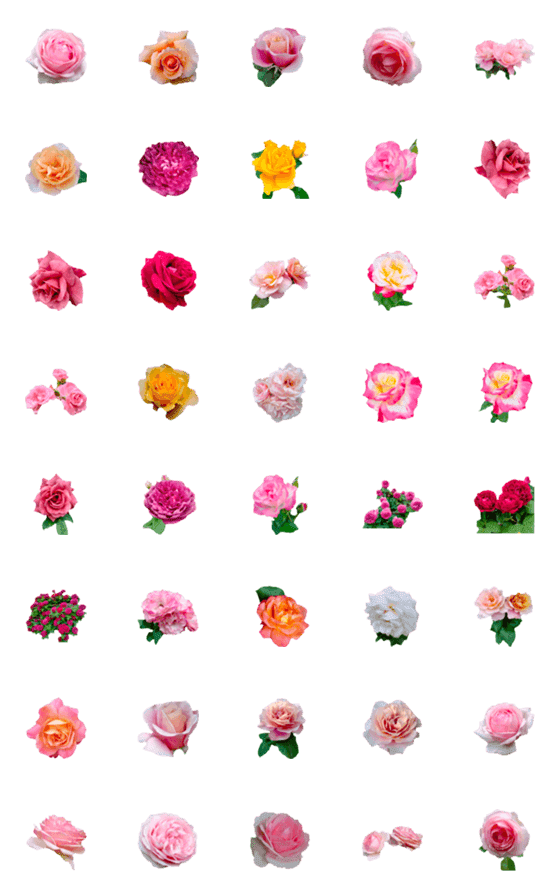 [LINE絵文字]fiower roseの画像一覧