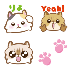 [LINE絵文字] 普段使いに★猫★チンチラゴールド・ミケの画像