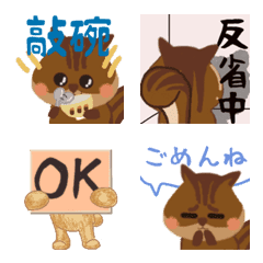 [LINE絵文字] 毎日使えるリス絵文字(日本語＆台湾語)の画像