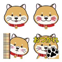 [LINE絵文字] 柴犬のゆりちゃん 使いやすい絵文字の画像