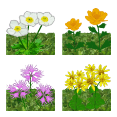 [LINE絵文字] 礼文島の花と風景 絵文字 vol.1の画像