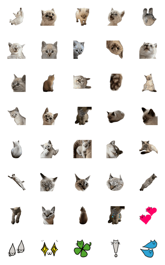 [LINE絵文字]シャムトラミックス猫の絵文字の画像一覧