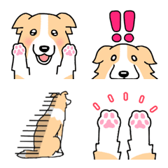 [LINE絵文字] 犬種別毎日ボーダーコリー絵文字(クリーム)の画像