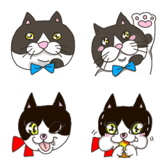 [LINE絵文字] うちの猫ちゃんずの画像