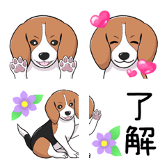 [LINE絵文字] ビーグル犬メル【つながる絵文字】の画像