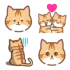 [LINE絵文字] まいにち茶トラねこの画像