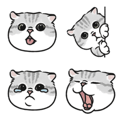 [LINE絵文字] oba cat emojiの画像