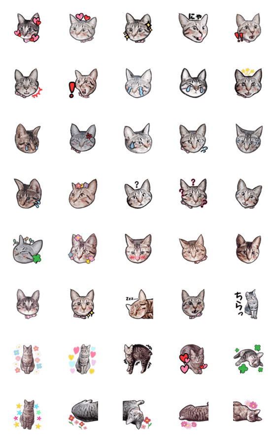 [LINE絵文字]キジトラ猫 ミントの絵文字の画像一覧