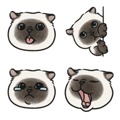 [LINE絵文字] oba cat emoji / siamese catの画像