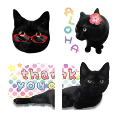 [LINE絵文字] くろねこ♡にゃんだふるの画像