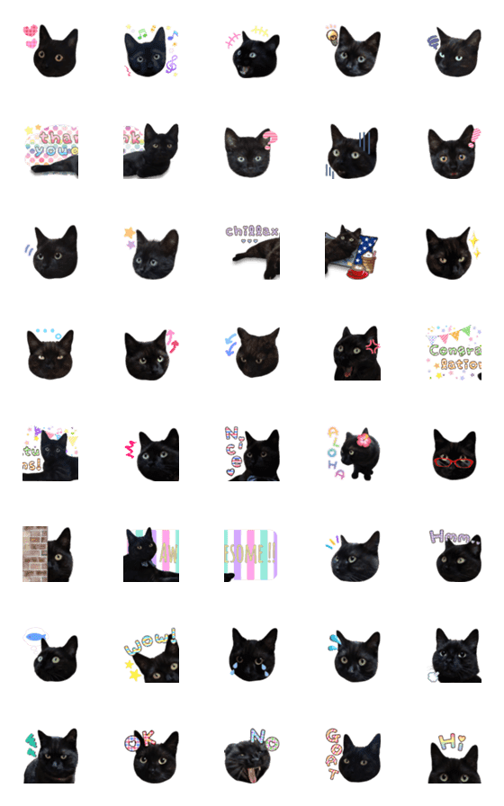 [LINE絵文字]くろねこ♡にゃんだふるの画像一覧