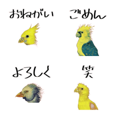 [LINE絵文字] 便利なオカメインコの絵文字の画像