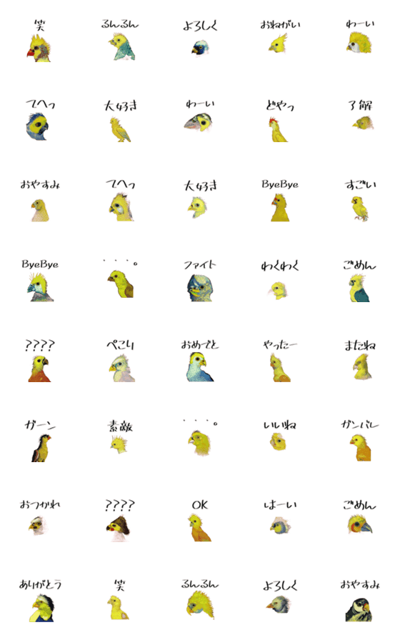 [LINE絵文字]便利なオカメインコの絵文字の画像一覧