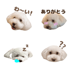 [LINE絵文字] Petiteの画像