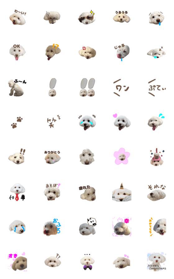 [LINE絵文字]Petiteの画像一覧