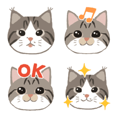 [LINE絵文字] キジトラ白のねこ絵文字の画像