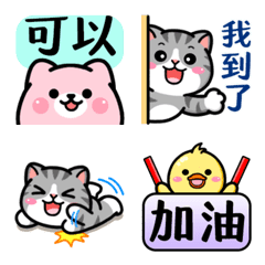 [LINE絵文字] Douhua cat and its friendsの画像