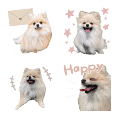 [LINE絵文字] Original Haru emoji 1@noondesignの画像