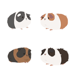 [LINE絵文字] guinea pig poo pooの画像