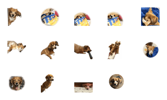 [LINE絵文字]dogggggggggggの画像一覧