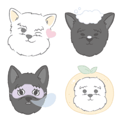 [LINE絵文字] Black and white dog expressionの画像