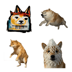 [LINE絵文字] dogeの画像