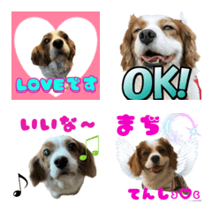 [LINE絵文字] lala emojiの画像