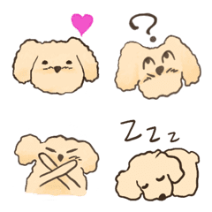 Cute dog, toypoodle MOCOの絵文字メイン画像