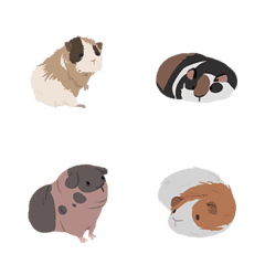 [LINE絵文字] guinea pig poo poo NO.02の画像