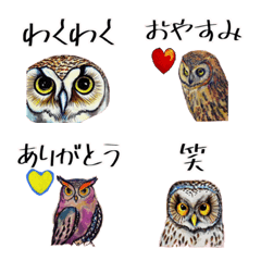 [LINE絵文字] 水彩画のフクロウ絵文字の画像