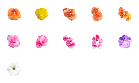[LINE絵文字]Love Little Flowers IIの画像一覧