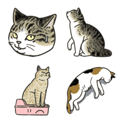 ねこ暮らしの絵文字2の絵文字メイン画像