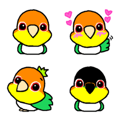 [LINE絵文字] シロハラインコの絵文字の画像