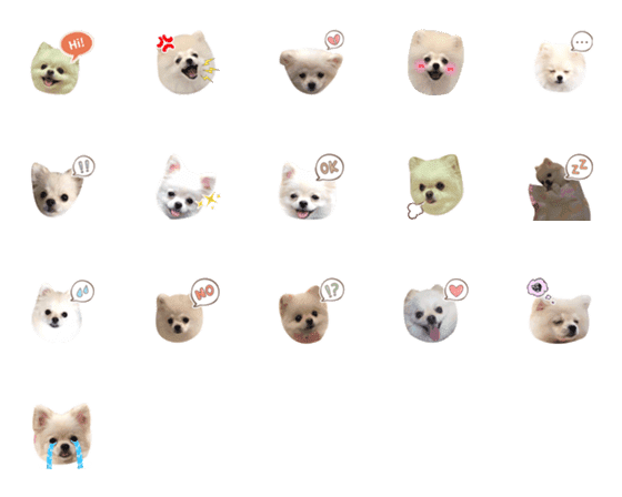 [LINE絵文字]Pomeranian BGの画像一覧