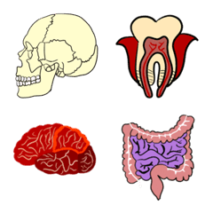 [LINE絵文字] Human organsの画像