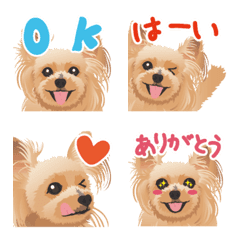 [LINE絵文字] ヨーキー☆そらの可愛い絵文字の画像
