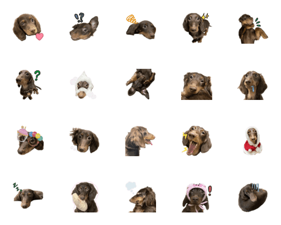 [LINE絵文字]ロイズは甘えんぼの画像一覧